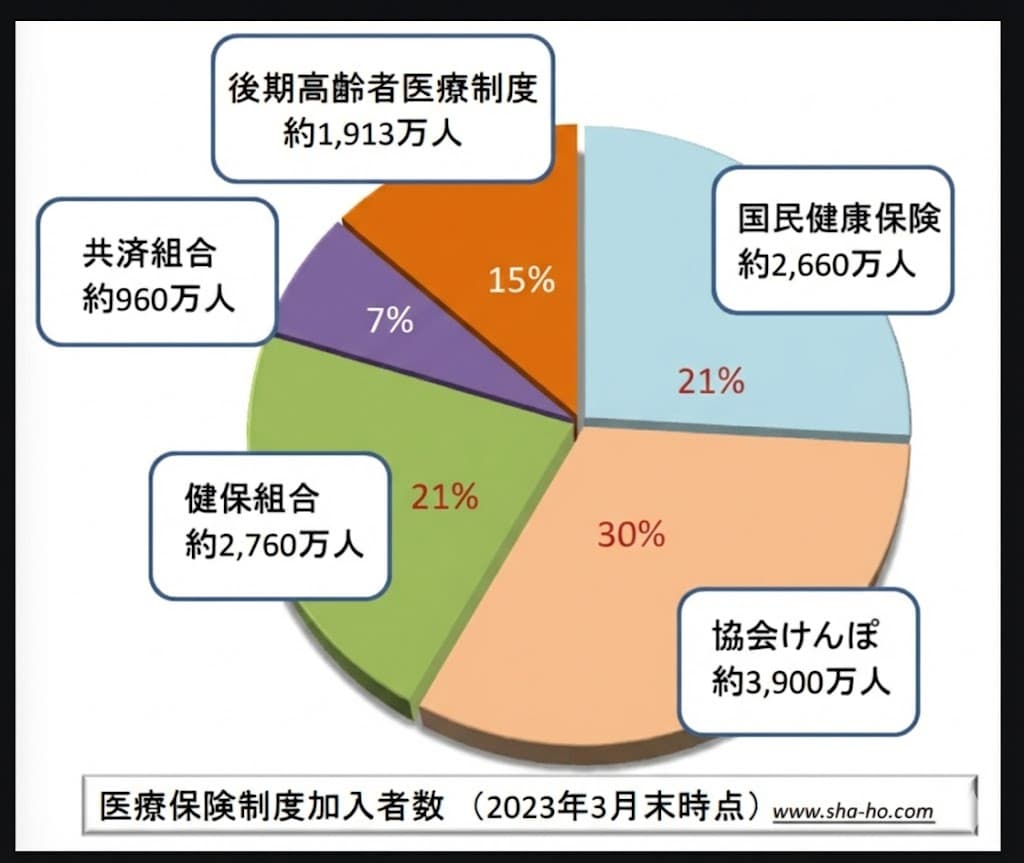 医療保険制度加入者グラフ(2023年)